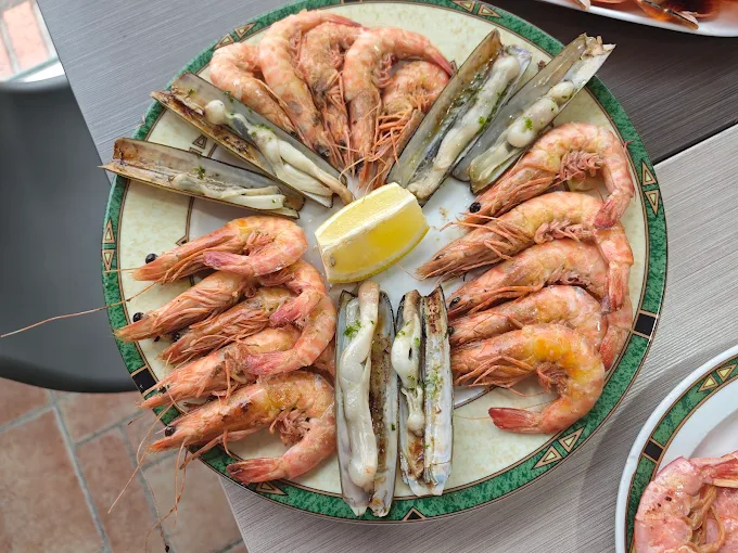 elrefugiodealexa.com